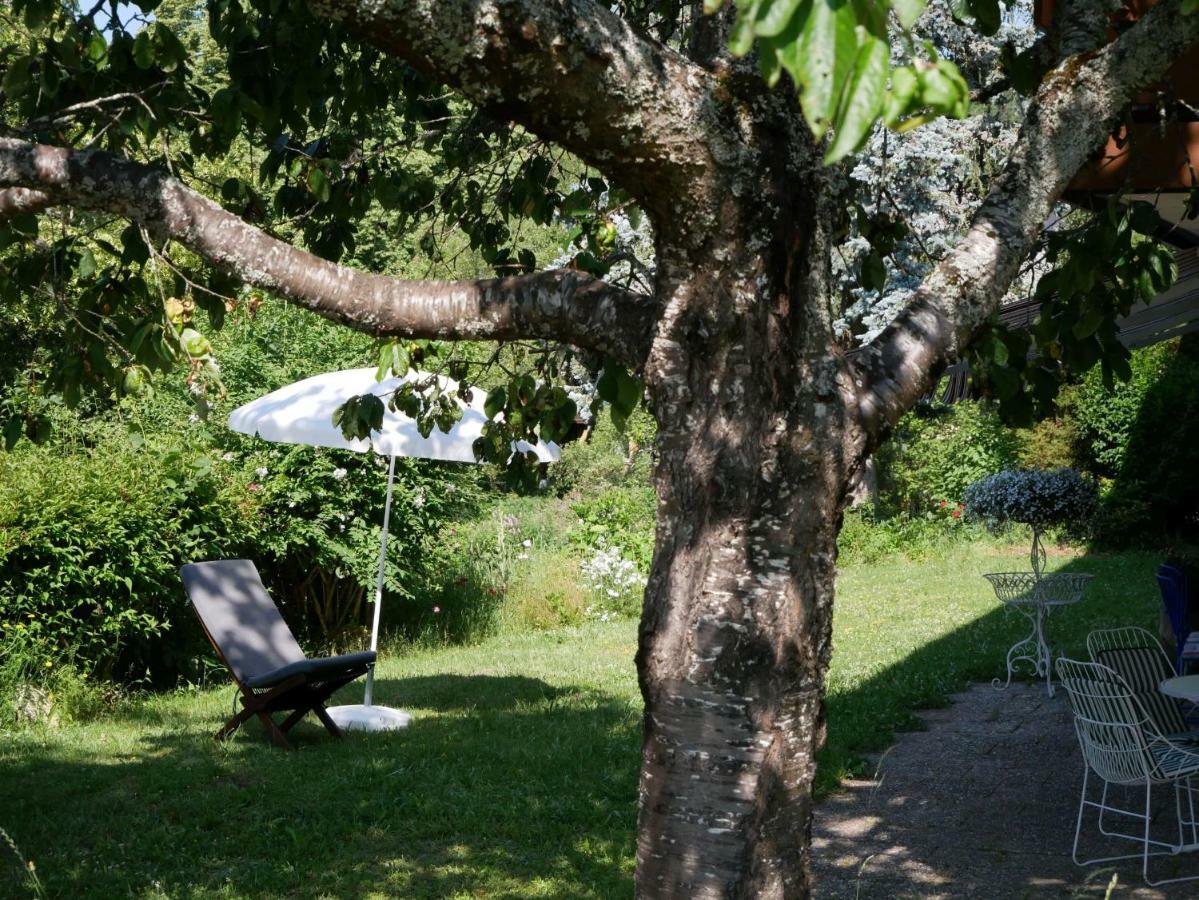 Haus Vita Ferien- Und Seminarhaus Urberg Εξωτερικό φωτογραφία